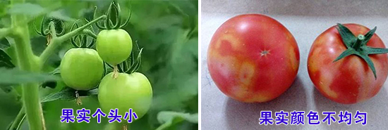 �������}