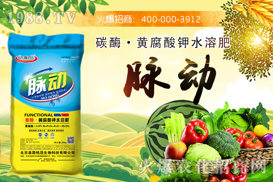 ̼ø���S�����ˮ�ܷ���ʲô��Ч��̼ø���S�����ˮ�ܷ�����Щ��˾���a(ch��n)�ģ�