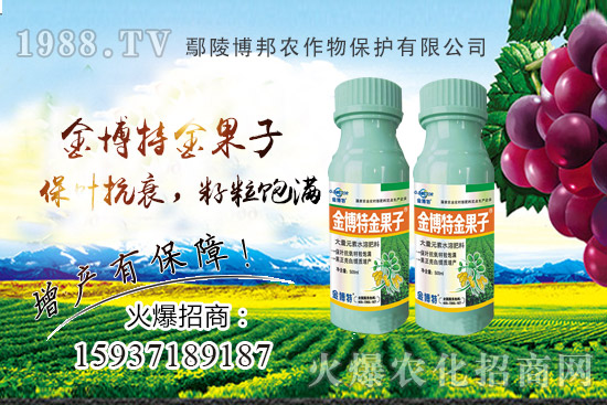 ������˥�p�a(ch��n)��(y��n)��ԓզ�k��������˥ԭ�����Nֲ����α�����