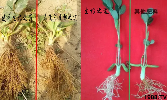 �����ϵ�����a(ch��n)������������֮���������¸����������a(ch��n)�o�n��