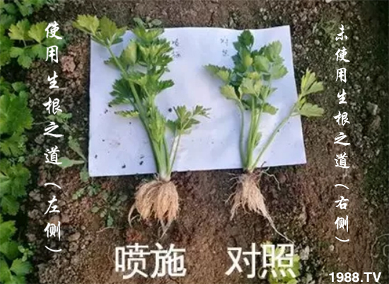 �����ϵ�����a(ch��n)������������֮���������¸����������a(ch��n)�o�n��