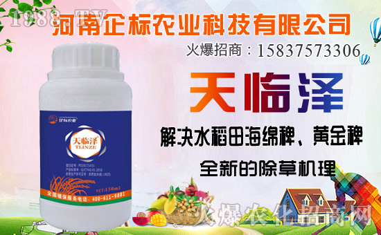 ���ݰ����ݙC�������ݰ��ܷ�����Щ����ʹ��ע���������Щ��