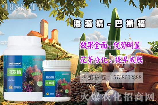  ߀���˽⺣�徫��ɶ����������out�ˣ����徫�����ж����