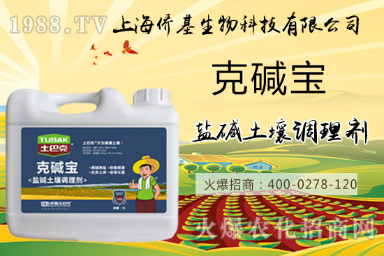 �����}�AΣ���󣬡��ˉA���������}�A��߀��һƬ������