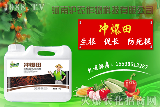 ����(b��o)