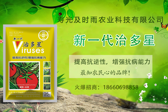 ���Ѳ�������֪���׷N�����Ӻ������η��Ѳ�������(��(n��i)�����η���) 