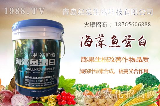 �߲˶�ֲ��ξ�������߲������`�^(q��)����Щ���߲�������������]��