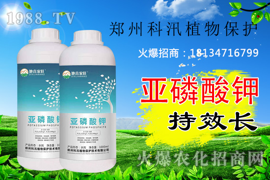 ������⛹�Ч�������C������Щ������������õĺ������