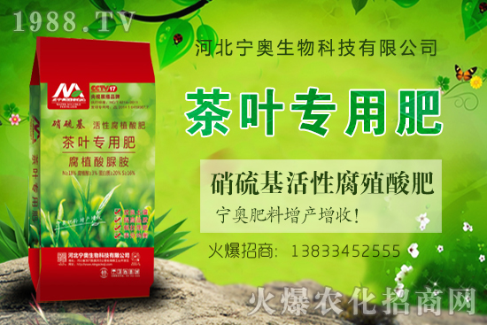 ��(f��)�Ϸʃr��