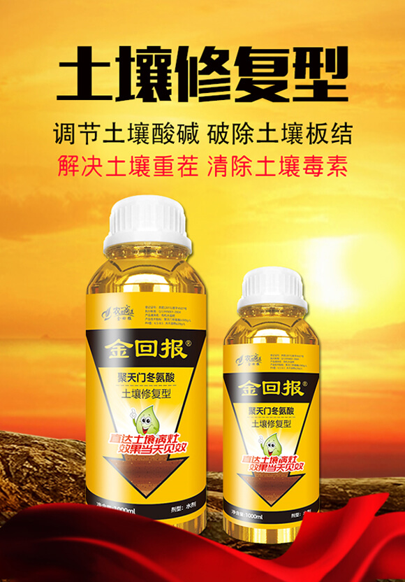 ��������-�����ޏ��ͣ�ƿ�b��-��؈�����T������-��؈�_01