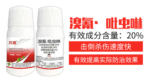 20%���衤���x����200ml��-��ϲ-�����_(d��)_02