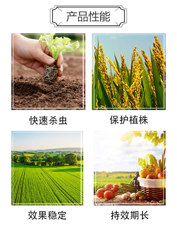 6%�ľ���ȩ��180�ˣ�-ը��-�P�Z����_04