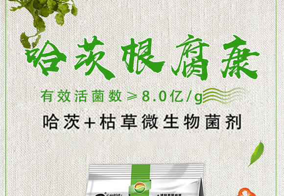 ���ĸ�����-���_(t��i)��_01