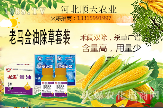 ����������������Ч�������׳����P(gu��n)�I�c��R����