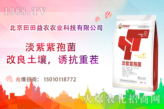 ���t��������c����Щ�����t���ļ���ι�����