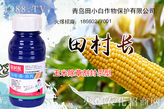 ���׳��݄��⚢��