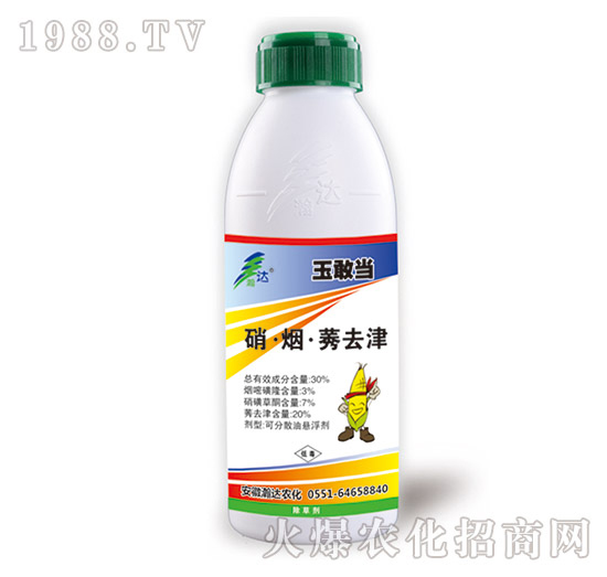 30%��������ݬȥ����������݄���-��Ү�-��_