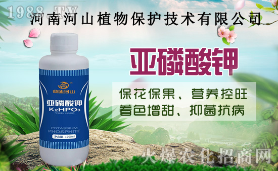 С�����߼Ӵa�������u�Z��2020��8��14��С���r�����飡