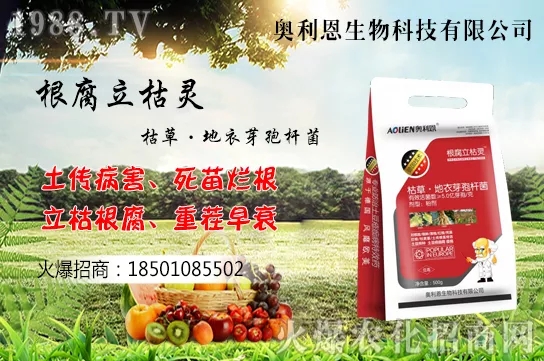 �S����ʲô����(ji��)�������S���˷Nֲ������B��