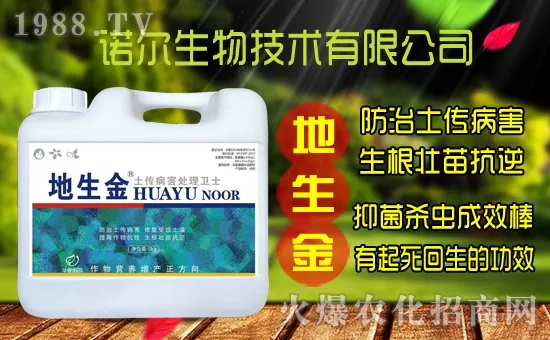 �S���˷N����ô�ɼ����S���˷N��r(ji��)������Xһ����