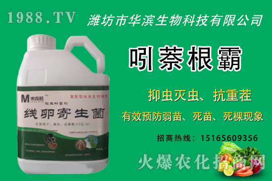 無花果種植什么品種較好？無花果皮可以吃嗎？種植前景怎樣？