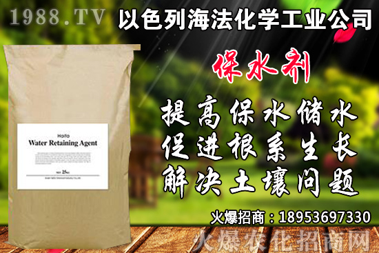 �۲���ηNֲ��Ʒ�N����x�����۲˲��N�r�g���Nֲ���g(sh��)��