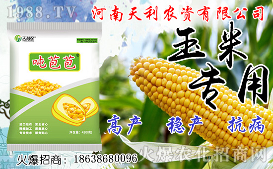 �N�˅������ג겻���X���Nֲǰ����Σ��˅����N����ô�N��