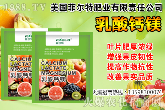 ���Ѳ��պ���α��r�����Ѳ��պ���@ע����헣�