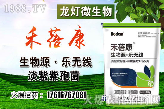 ���t���ڷ۷����������t��¶��ʹ���Nֲ�кβ�ͬ��