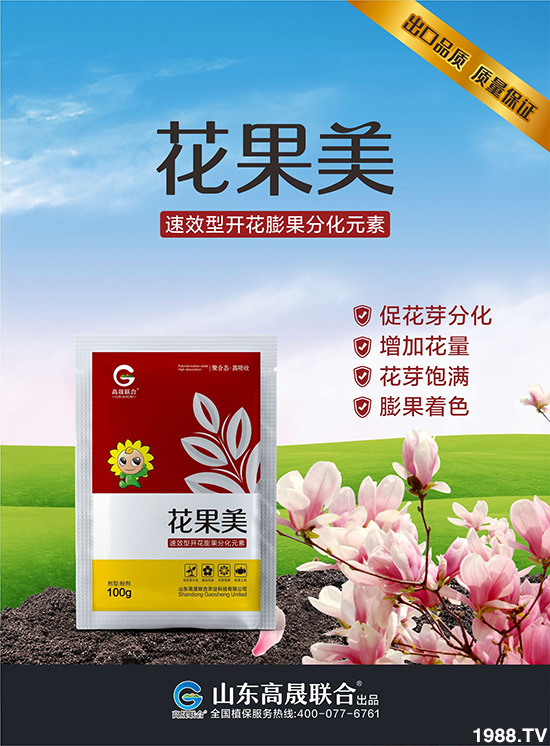     ������-����(li��n)��