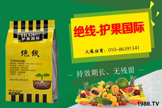 �Ә����L�l������Щ���Ә�����������g��