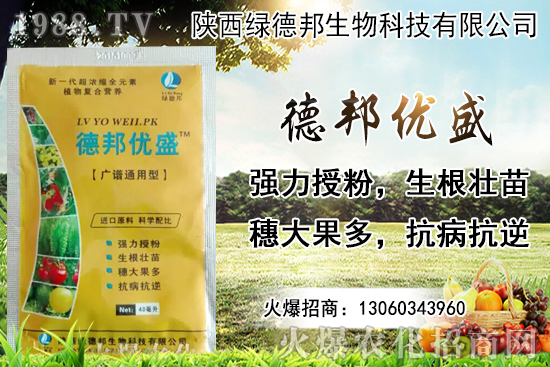 �����r������Xһ���������Nֲ�ĭh(hu��n)�������x������