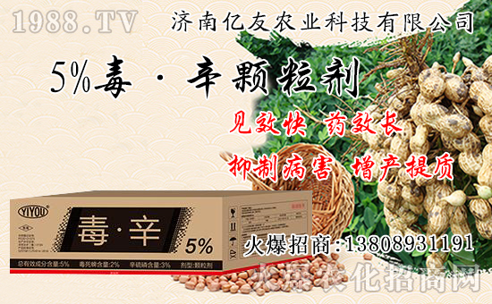 �������Ժʹ�����ʲô��ͬ���������԰˴��P(gu��n)�IҪ�c��