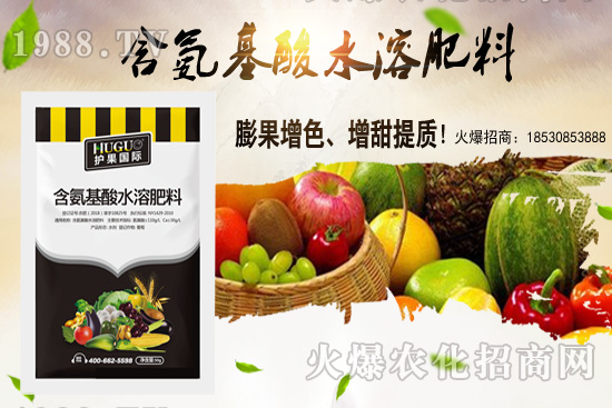 �|���m����ʲô����(ji��)�������|������M(j��n)�зNֲ��