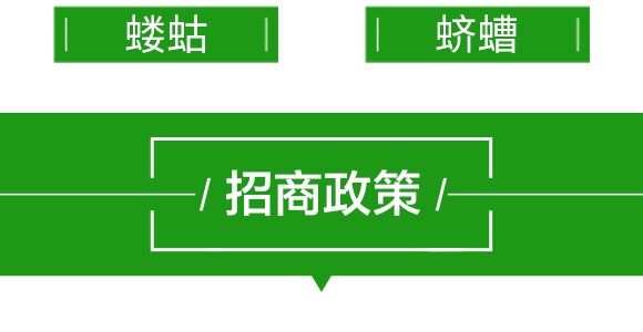 20%���衤������-����-��̖�r(n��ng)�I(y��)_13