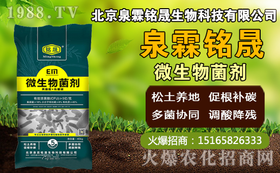 芒果什么時(shí)間種植，芒果種植方法及控水時(shí)期！