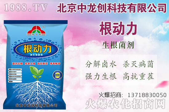 白蘿卜的需肥特性有哪些，白蘿卜施肥技術(shù)要點(diǎn)！