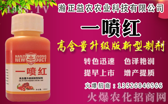 白蘿卜初秋種植還是深秋？白蘿卜種植時間和管理！