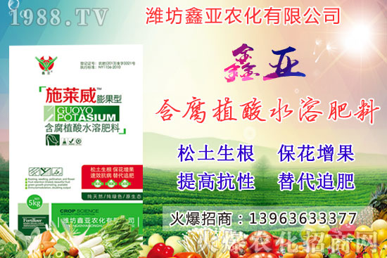 �Zʳ�q�r(ji��)��20209��17��С���r(ji��)�����������