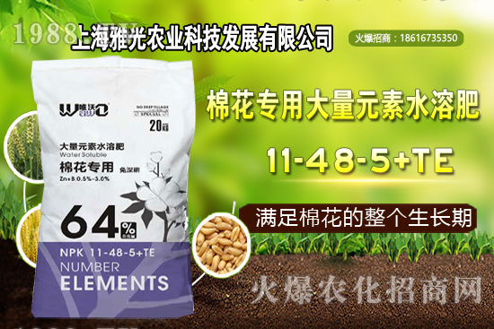 ��ʲô�r(sh��)��Nֲ�������༼�g(sh��)Ҫ�c(di��n)��