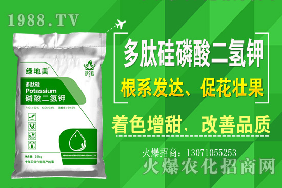 �۲˵ă�(y��u)��Ʒ�N����Щ���۲˷Nֲ���L(zh��ng)�h(hu��n)�������Nֲ���g(sh��)��