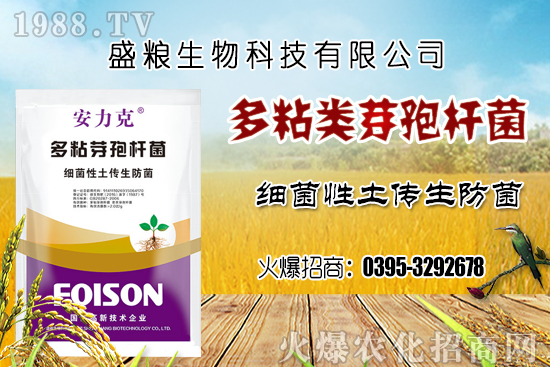 ܇?y��n)��ӷNֲ�h(hu��n)��Ҫ�����Ď��c(di��n)��܇?y��n)������N�x�����N�׷N��