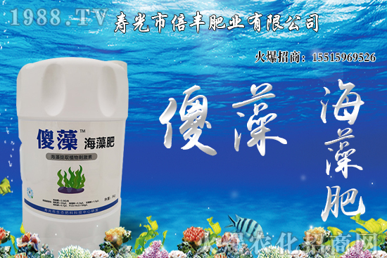 �Ј�(ch��ng)�𲽻ؚw���������棬�󶹃r(ji��)��_�߻�����