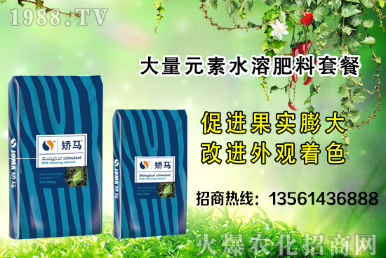 �＾����ʩ�ʵĺ�̎����Щ���＾����ʩ��ָ��(d��o)������