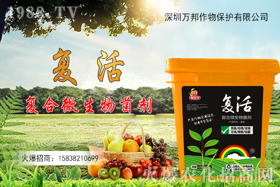 ���������ԷN������M(j��n)�й�������ʲô����Ҫ�c(di��n)��