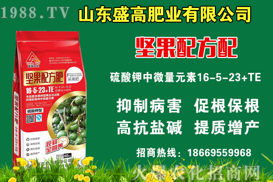 С���r��߀Ҫ�ϝq����9��9�Շ���С���r��������