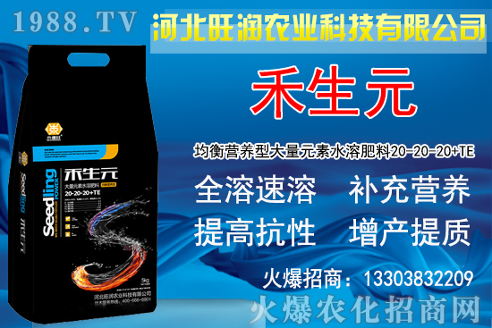 2020�Nֲ���y��ٍ�X�᣿���y�����L�l�����Nֲǰ����