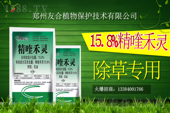 2021��2��15�ո��ٳ��݄��r(ji��)������