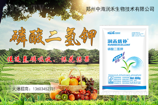 ����һ���굽��ԓ��ôʩ��������ʩ��ע�����(xi��ng)����Щ��