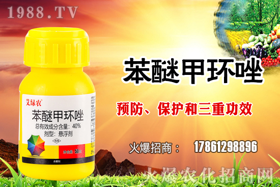 ����������x�����׷N�������׷NֲҪע����Щ���}��